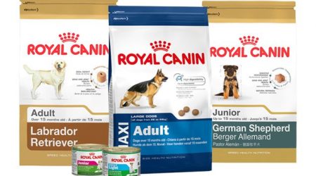 royal-canin-dogs